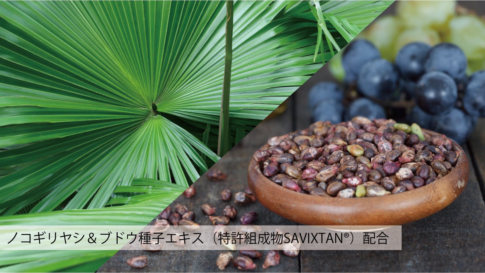 【ハリ・コシ・ボリュームへ　内側からアプローチ！】医学博士開発　毛髪サプリメントをMakuakeにて特別価格で先行販売中！のサブ画像3