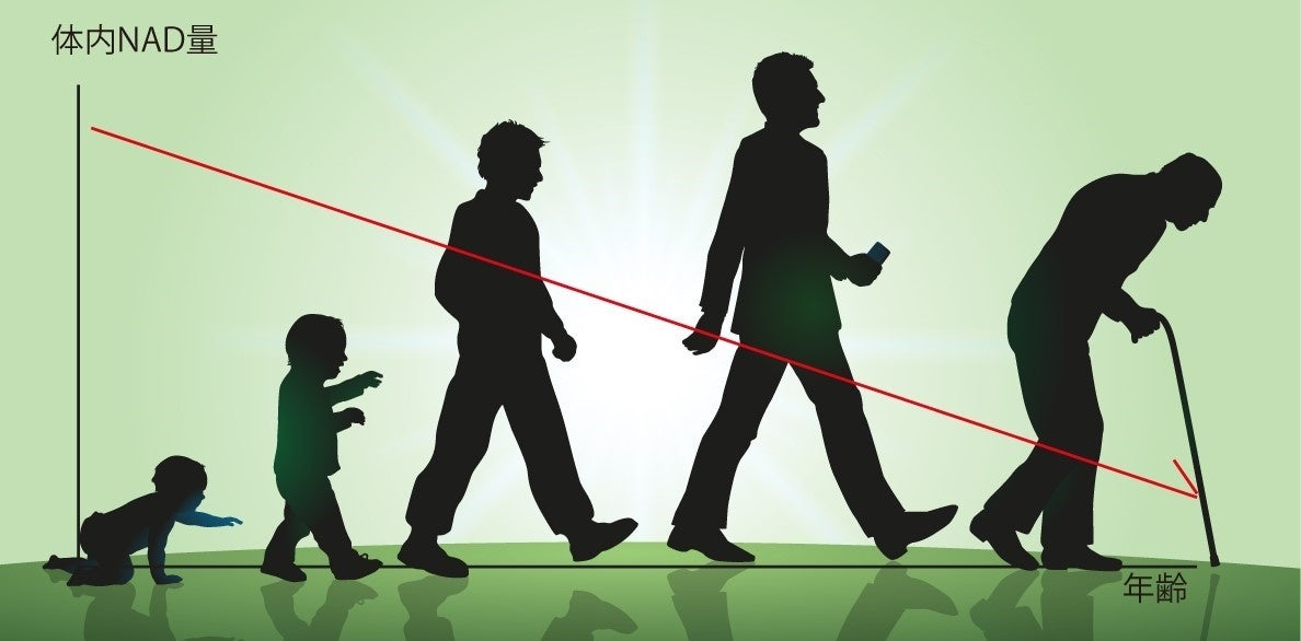 【ハリ・コシ・ボリュームへ　内側からアプローチ！】医学博士開発　毛髪サプリメントをMakuakeにて特別価格で先行販売中！のサブ画像4