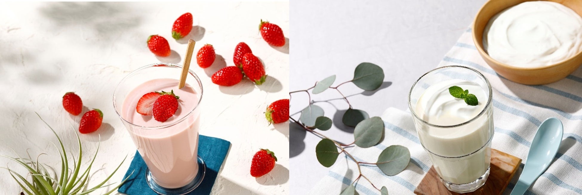 ベストセラー獲得！大人気商品から待望の新味誕生!!アンビーク オールインワンプロテイン 新フレーバー 4月27日(木)発売のサブ画像2