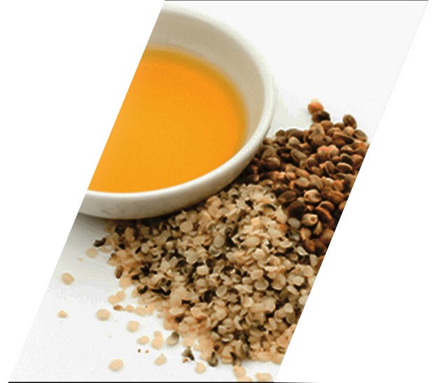 現役引退！超人と呼ばれた男！糸井嘉男氏が「REALLIMIT(リアリミット)」公式アンバサダーに就任！のサブ画像3