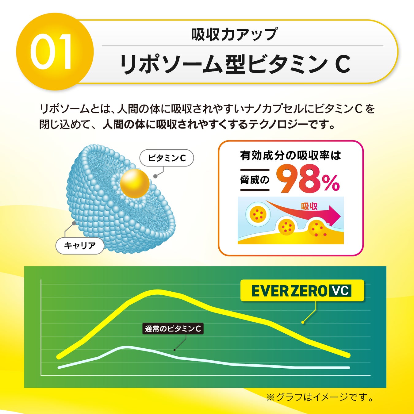 吸収力の高いリポソームやビタミンE、セラミドを配合したビタミンCサプリメント新発売のサブ画像4