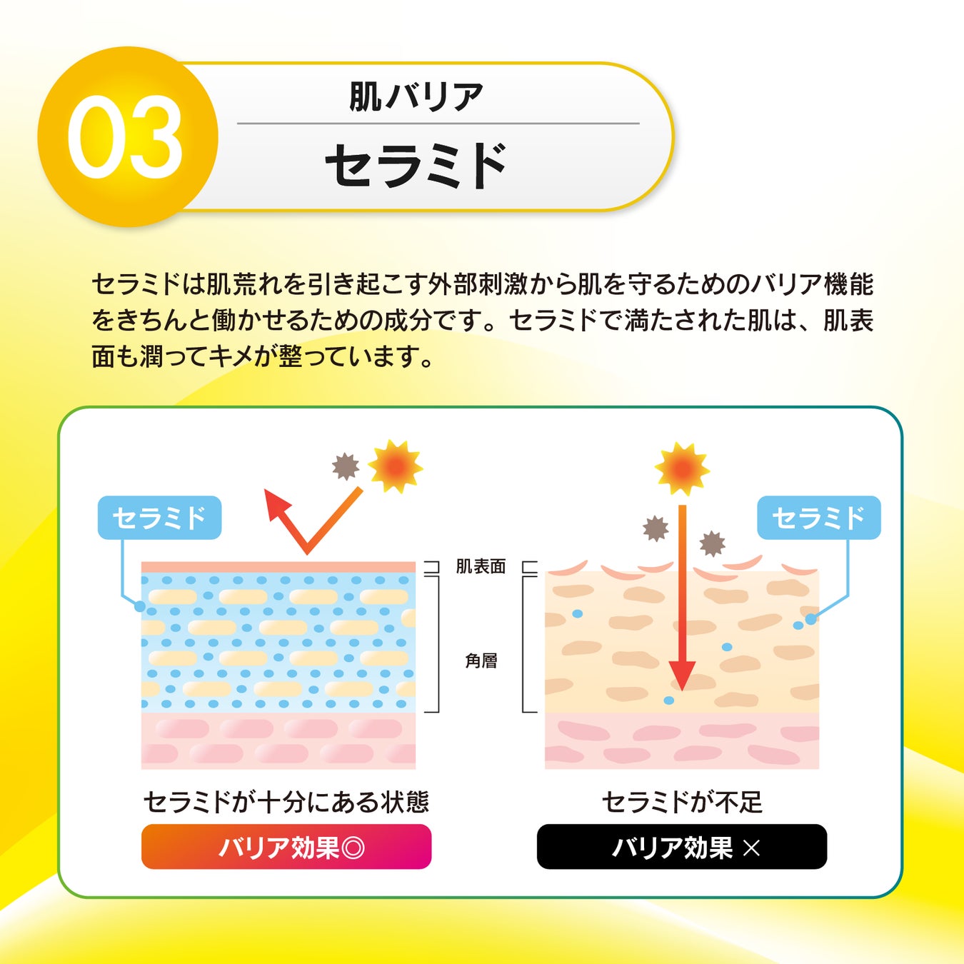 吸収力の高いリポソームやビタミンE、セラミドを配合したビタミンCサプリメント新発売のサブ画像6