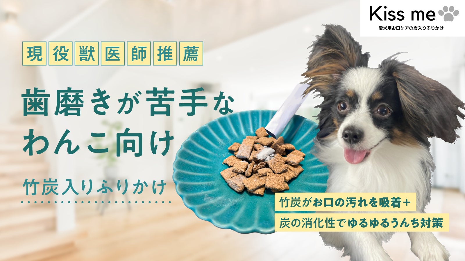 [獣医師推薦]ペット用竹炭入りデンタルケア商品クラウドファンディング開始のサブ画像1