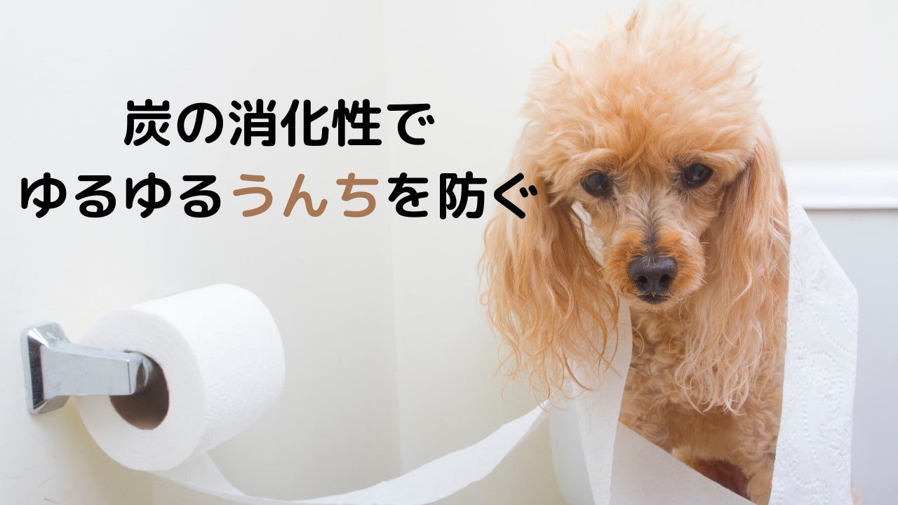 [獣医師推薦]ペット用竹炭入りデンタルケア商品クラウドファンディング開始のサブ画像3