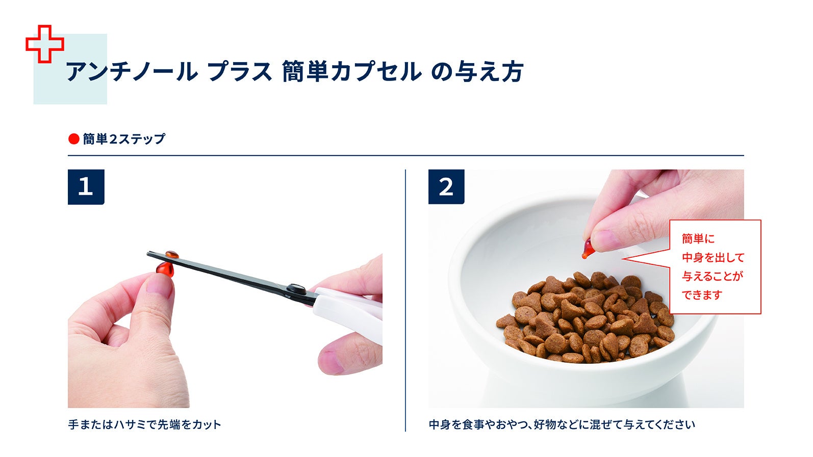 猫にも環境にも優しいサプリメント「アンチノールⓇ プラス 簡単カプセル 猫用」新発売のサブ画像3
